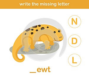 Write the missing letter,illustration photo