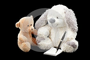 Write teddy bears message.