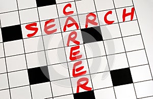 Write the words Career Search on a puzzle