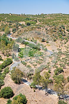 The writhing road winding among olive orchards on the hills. Baixo Alentejo. Portugal