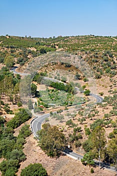 The writhing road winding among olive orchards on the hills. Baixo Alentejo. Portugal