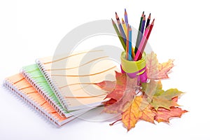 Writing-books, multi-coloured pencils and autumn leaves.