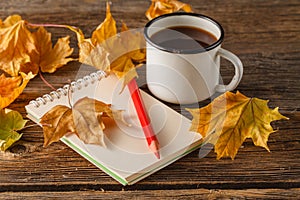 Writing-books, multi-coloured pencils in a cup and autumn leaves