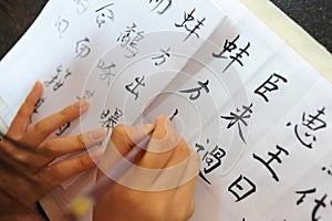 Writing Chinese Calligraphy