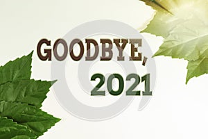 Writing displaying text Goodbye 2021. Concept meaning New Year Eve Milestone Last Month Celebration Transition Nature photo