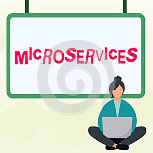 Writing displaying text Microservices. Business overview Software development technique Building single function module