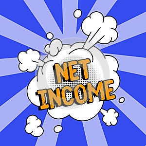 Writing displaying text Net Income. Conceptual photo the gross income remaining after all deductions and exemptions are