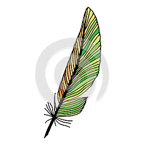 Writing feather