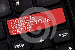 Writing note showing Home Is Where Your Cat Is. Business photo showcasing Kitten lovers feline protection cute animals