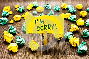 Writing note showing I am Sorry. Business photo showcasing To ask for forgiveness to someone you unintensionaly hurt Clothespin ho photo