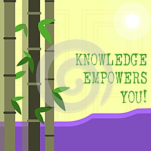Writing note showing Knowledge Empowers You. Business photo showcasing Education responsible to achieve your success.