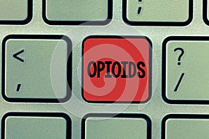 Writing note showing Opioids. Business photo showcasing Class of drugs that include the illegal heroin Opium poppy plant