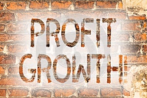 Writing note showing Profit Growth. Business photo showcasing Financial Success Increased Revenues Evolution Development Brick