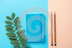 Writing Notepad Wood Pencils Green Plant Branch on Contrast Blue Peach Pink Pastel Color Background Combination.Business Education