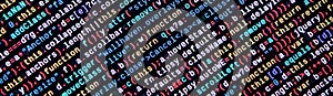 Writing programming code on laptop. Digital binary data on computer screen