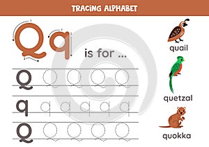 Writing uppercase and lowercase letter q. Printable worksheet. Cute illustration of quail, quokka, quetzal.