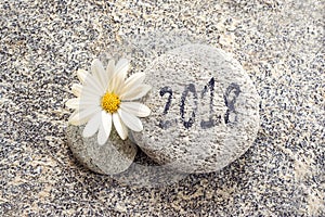 2018 written on a stone background with a daisy