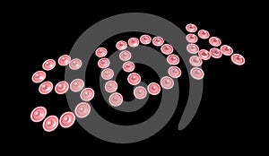 Written word sida (aids) with condoms