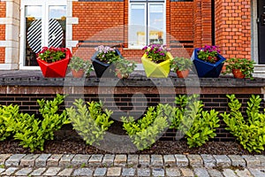 Four large colorful planters and four smaller ones full of flowers standing in front of a modern red