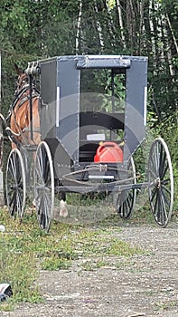 Wrong Gas for Amish Horsepower