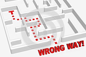 Wrong Way Maze