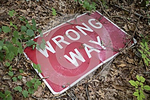 Wrong way red and white street sign  broken and on the forest ground