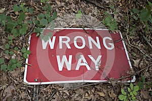 Wrong way red and white street sign  broken and on the forest ground