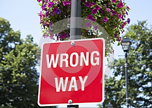 Wrong Way Sign With Flowers
