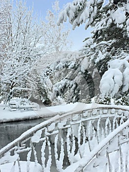 The wrought iron bridge covered with the first fluffy snow against the background of the magical winter landscape