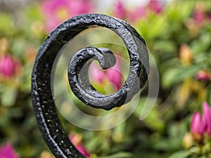 Wrought iron decoration img