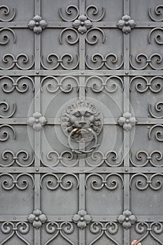Wrought Iron Door with Lion