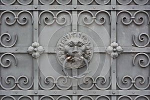 Wrought Iron Door with Lion