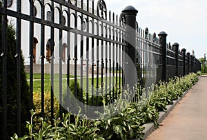 Wrought iron fence