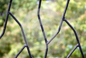 Wrought iron fence