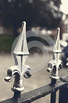 Wrought Iron Fence