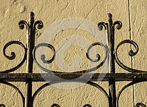 Wrought iron Fence