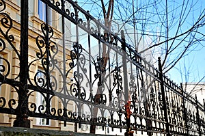 Wrought iron fence