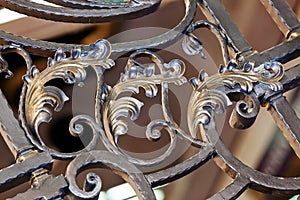 Wrought iron fence