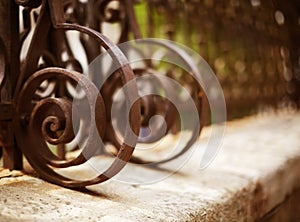 Wrought Iron Fence Detail