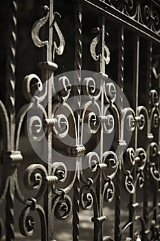 Wrought Iron Fence Detail