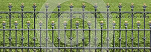 Wrought Iron Fence with Gold Stars