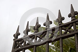 Wrought iron fence in New Orleans