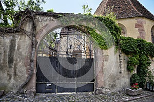 Wrought iron gate as entrance to a larger courtyard.