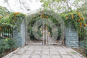 Wrought iron gate and flowers, iron fence