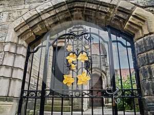 Wrought iron gates with grape vine in entrance to church yard