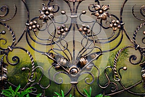 wrought-iron gates, ornamental forging, forged elements close-up