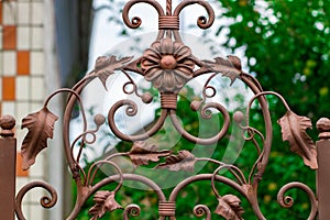 wrought-iron gates, ornamental forging, forged elements close-up