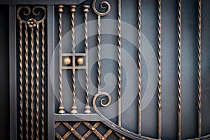 wrought-iron gates, ornamental forging, forged elements close-up