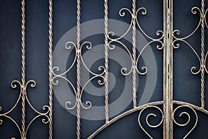 wrought-iron gates, ornamental forging, forged elements close-up