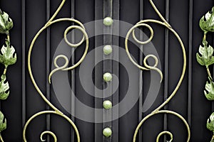 Wrought-iron gates, ornamental forging, forged elements close-up